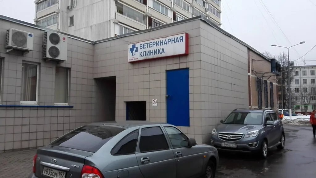 Вход в ветеринарную клинику «Том и Джерри» на улице Героев Панфиловцев, 35